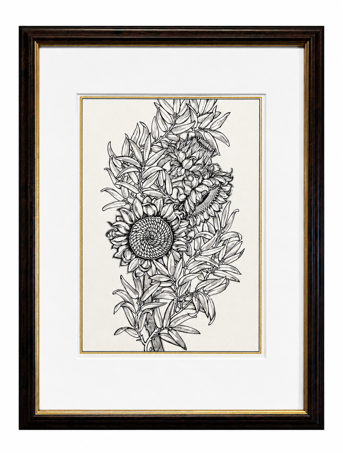 A Sunflower Study Signed Framed Print