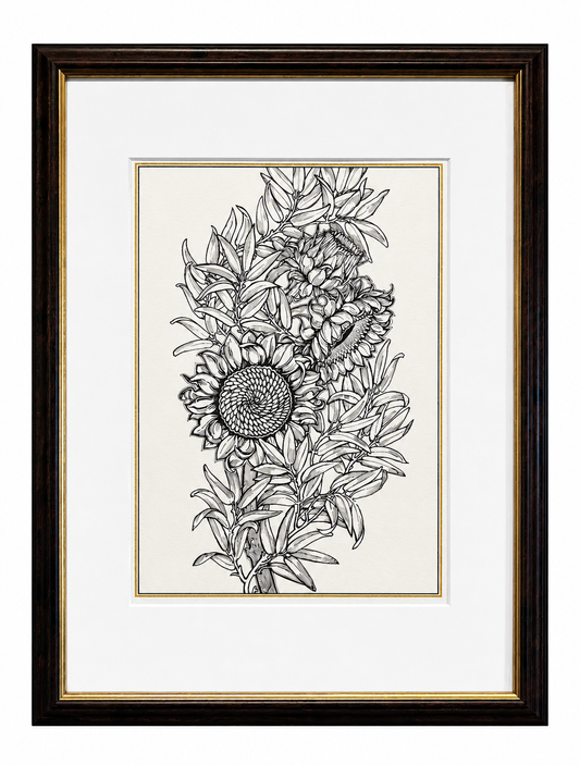A Sunflower Study Signed Framed Print
