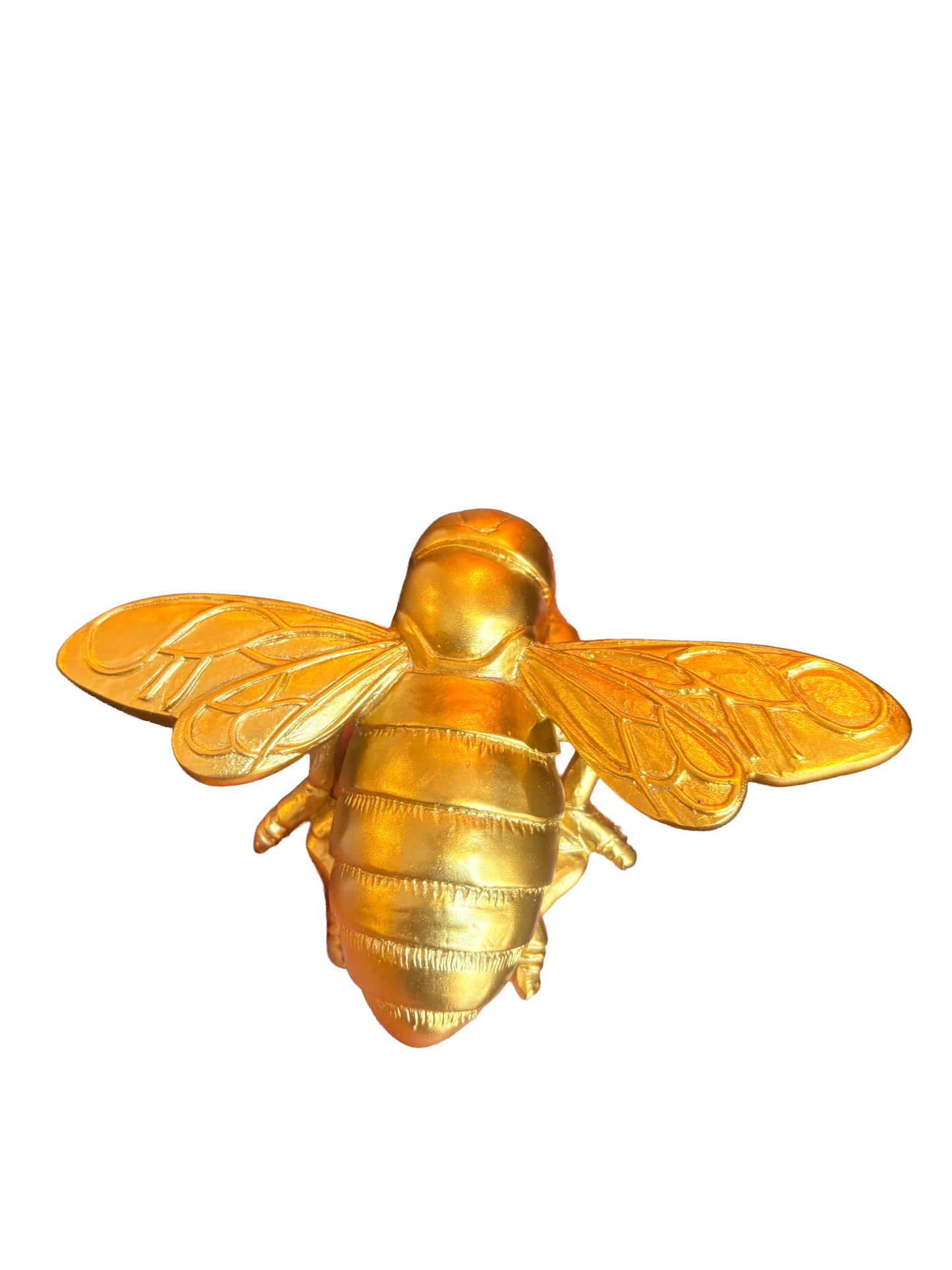 Insect Wall Ornament