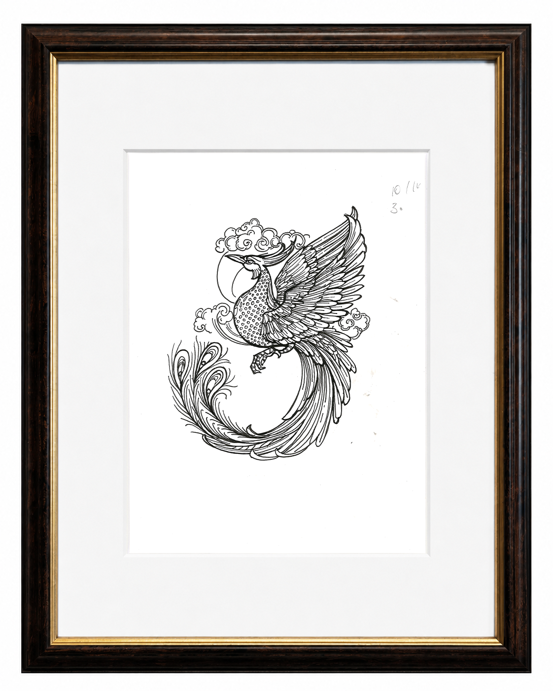 The Phoenix Study Original Framed