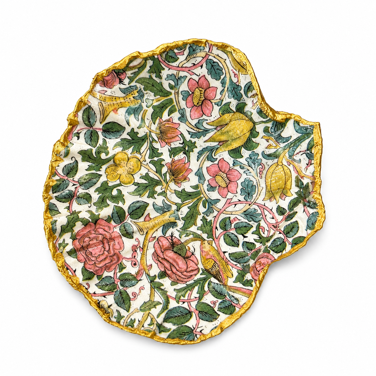Decorative Shells